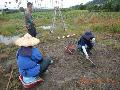 考古發掘現場(1)