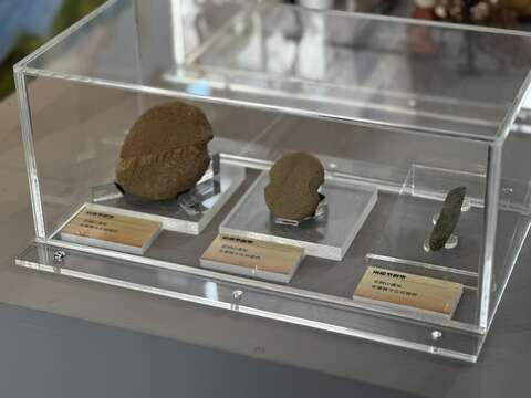 《史前餐會：翻動地層裡的飲食故事》展場一景。